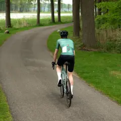 Cyclist in green jersey rides on a winding road through a forest.