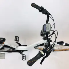 Witte Gazelle e-bike met een Bosch Intuvia display. Helaas is het display gestolen, wat de fiets onbruikbaar maakt.