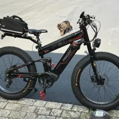Zwarte elektrische fiets met dikke banden en een tas achterop. Een kat loopt langs de fiets, mogelijk door een kabelbreuk.