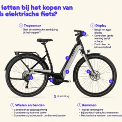Elektrische fiets kopen? Let op de accu, motor (maximaal 250 Watt in NL), display, remmen, wielen en banden. Vraag naar de onderhoudsgeschiedenis.