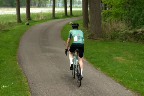 Cyclist in green jersey rides on a winding road through a forest.