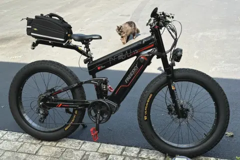Zwarte elektrische fiets met dikke banden en een tas achterop. Een kat loopt langs de fiets, mogelijk door een kabelbreuk.