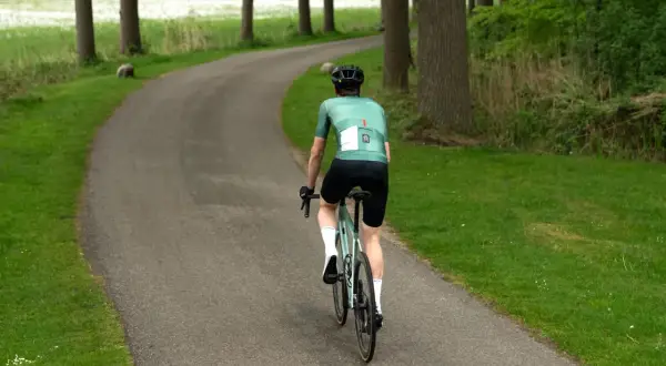 Cyclist in green jersey rides on a winding road through a forest.