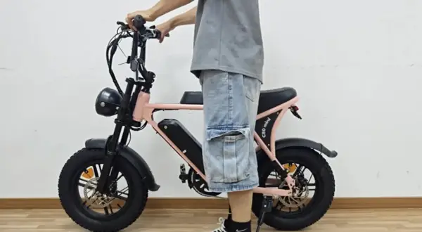 Een roze fatbike met dikke banden, een stoere retro koplamp en een uitneembare accu. Dit is wat een fatbike is: een elektrische fiets met een robuust design.