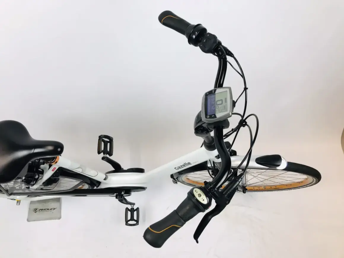 Witte Gazelle e-bike met een Bosch Intuvia display. Helaas is het display gestolen, wat de fiets onbruikbaar maakt.
