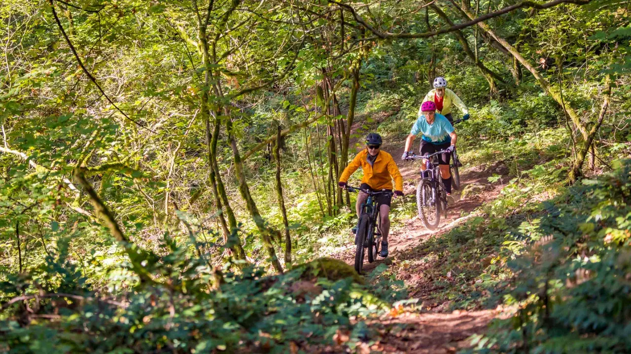 Drie mountainbikers genieten van een zonnige rit door een bosrijk pad. Perfect voor iedereen die wil beginnen met mountainbiken.