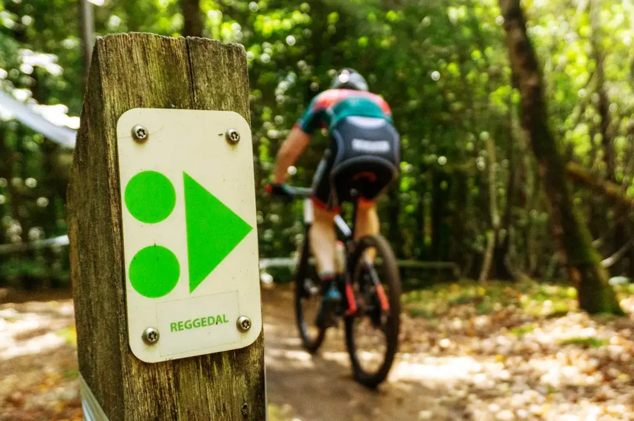 Mountainbike vignet met pijlen en cirkels op een paal, met op de achtergrond een mountainbiker op een bospad.
