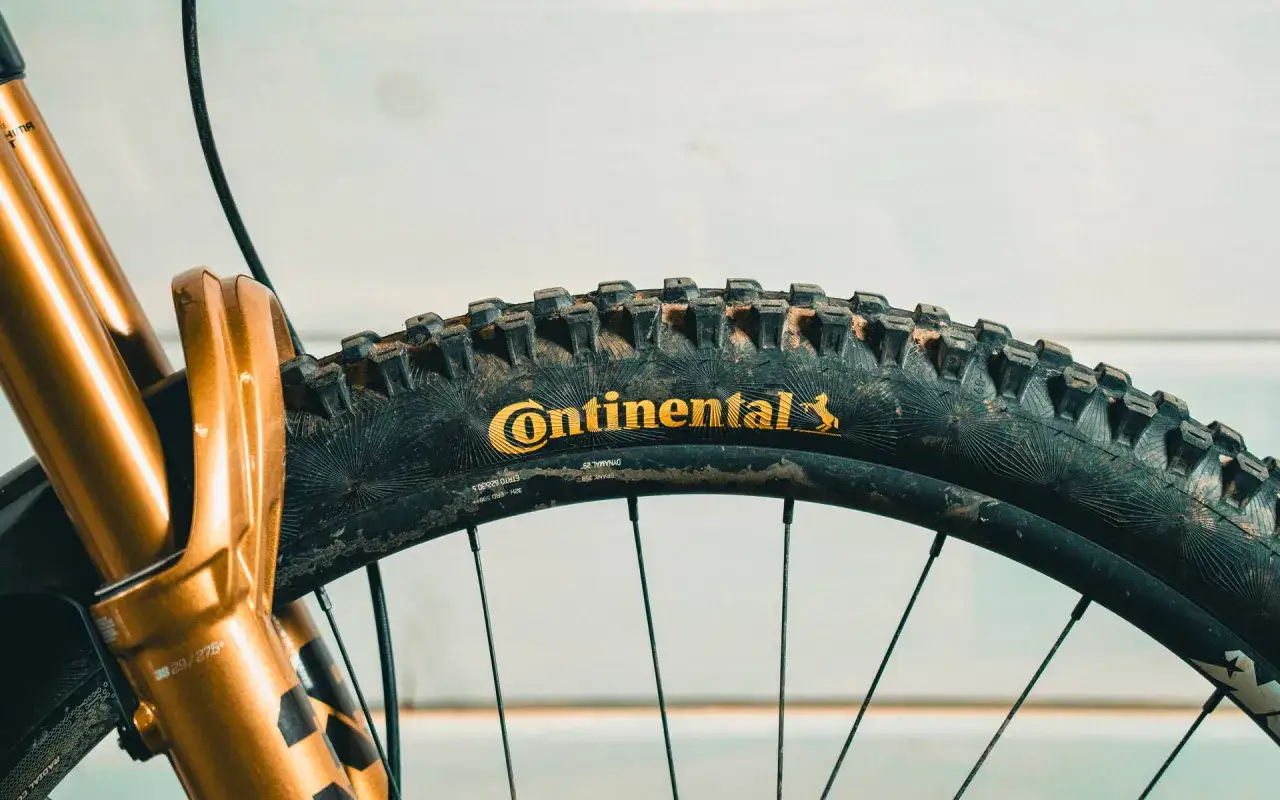 Gouden voorvork van een mountainbike met een vuile Continental band. Dit is de beste mtb banden combinatie voor ruig terrein.
