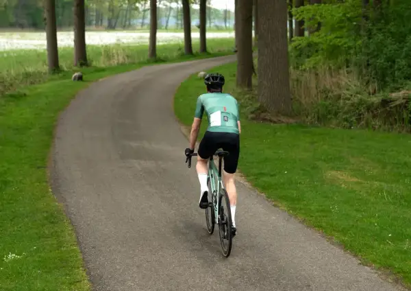 Cyclist in green jersey rides on a winding road through a forest.