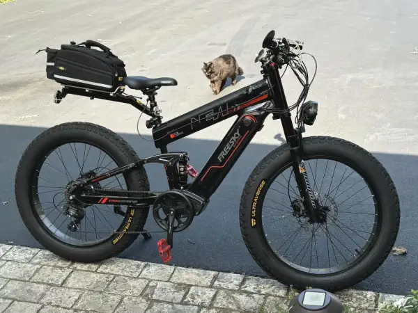Zwarte elektrische fiets met dikke banden en een tas achterop. Een kat loopt langs de fiets, mogelijk door een kabelbreuk.